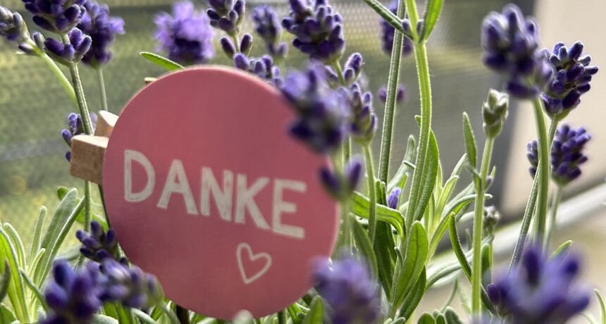 Ein blühender Lavendel in Nahaufnahme. An der Pflanze klemmt ein rosanes Schild mit der Aufschrift "Danke" und einem Herz darunter.